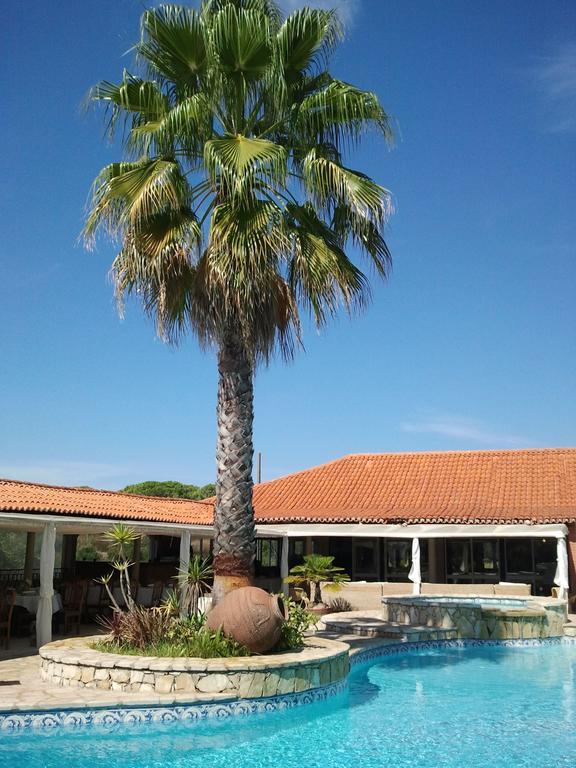 Villa Quinta Do Pinhal Constância Exterior foto