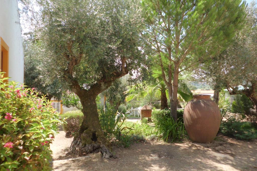 Villa Quinta Do Pinhal Constância Exterior foto